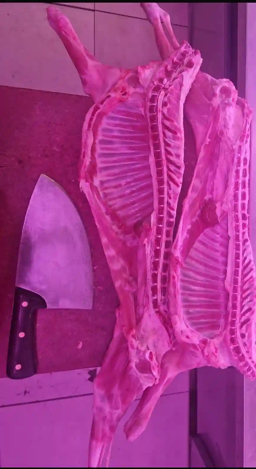 Cordero lechal de primera calidad - despiece artesanal